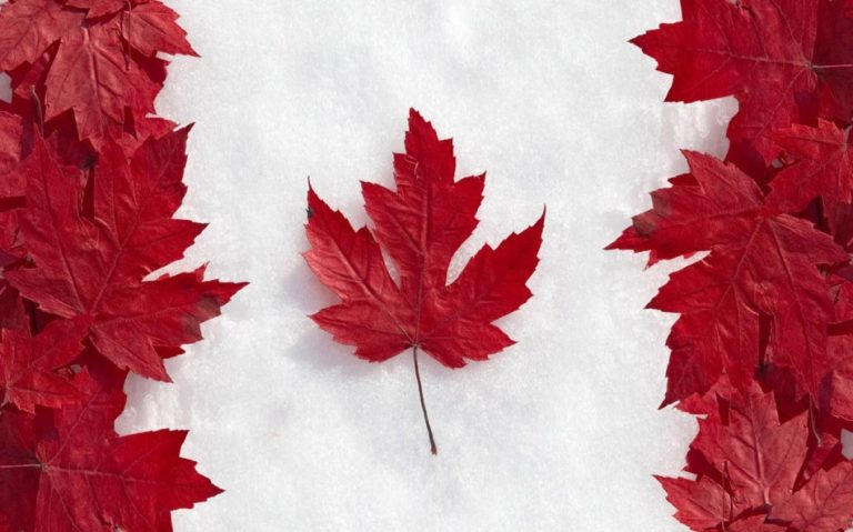 В 2014 году в Канаду прибыло рекордное количество новых граждан