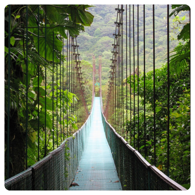 Гемблинг лицензия в Коста-Рике - фото 56830